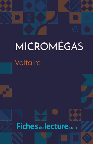 Micromégas