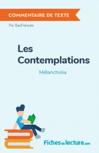 Les Contemplations : Mélancholia
