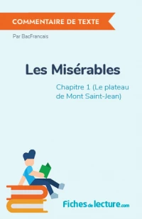 Les Misérables : Chapitre 10 (Le plateau de Mont Saint-Jean)