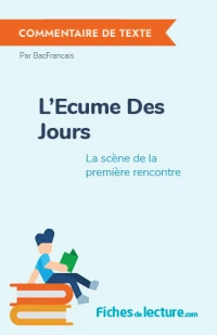 L'Ecume Des Jours : La scène de la première rencontre