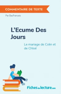 L'Ecume Des Jours : Le mariage de Colin et de Chloé