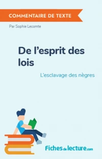 De l'esprit des lois : L'esclavage des nègres