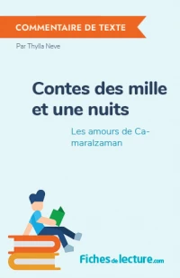 Contes des mille et une nuits : Les amours de Camaralzaman