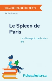 Le Spleen de Paris : Le désespoir de la vieille