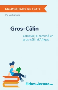 Gros-Câlin : Lorsque j'ai ramené un gros-câlin d'Afrique