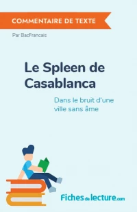 Le Spleen de Casablanca : Dans le bruit d'une ville sans âme