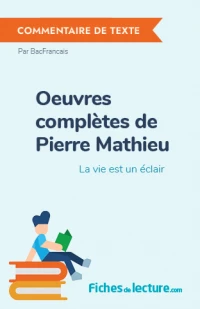 Oeuvres complètes de Pierre Mathieu : La vie est un éclair