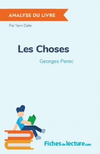 Les Choses : Analyse du livre