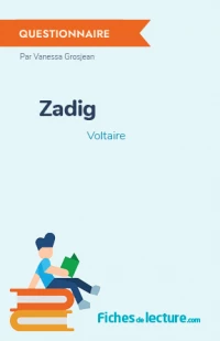 Zadig : Questionnaire du livre