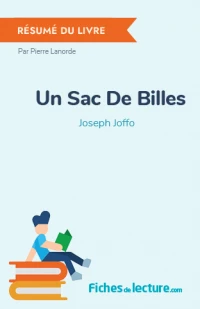 Un Sac De Billes : Résumé du livre