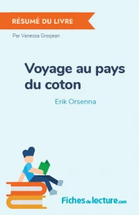 Voyage au pays du coton : Résumé du livre