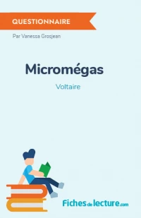 Micromégas : Questionnaire du livre