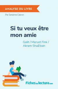 Si tu veux être mon amie : Analyse du livre