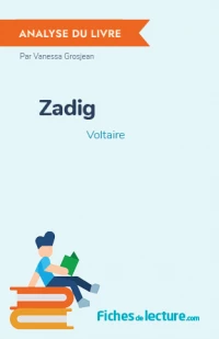 Zadig : Analyse du livre