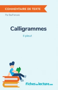 Calligrammes : Il pleut