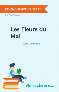 Les Fleurs du Mal : La chevelure