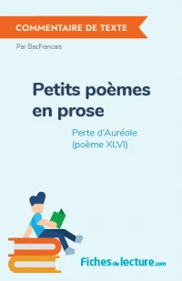 Petits poèmes en prose : Perte d'Auréole (poème XLVI)