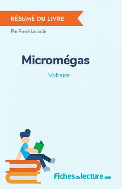 Micromégas